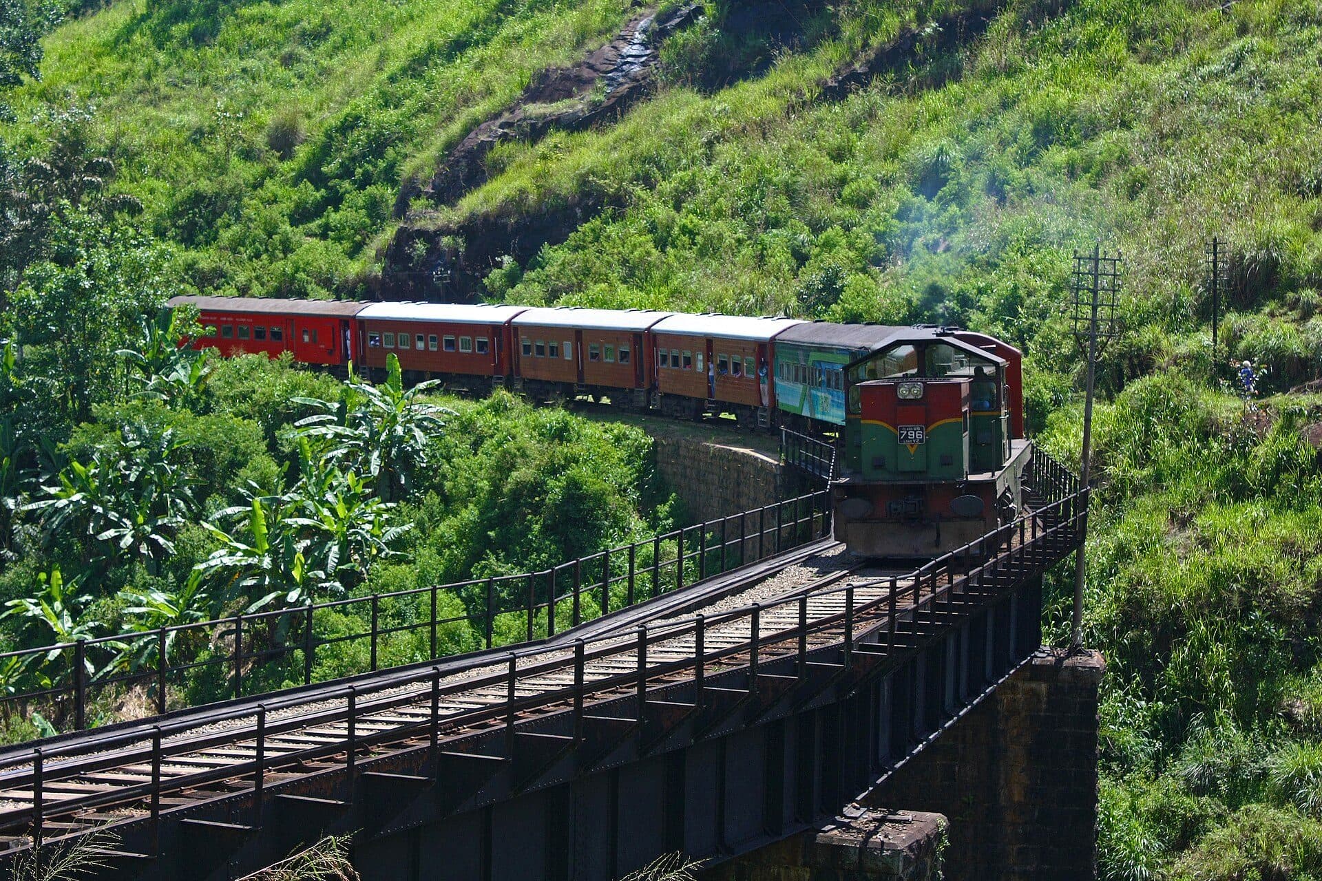 Train in tea country